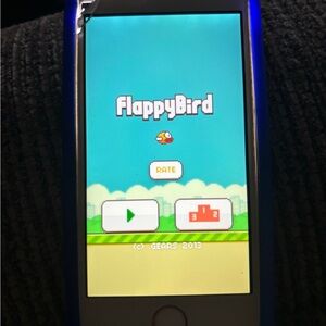 FLAPPY BIRD iPhone 5S